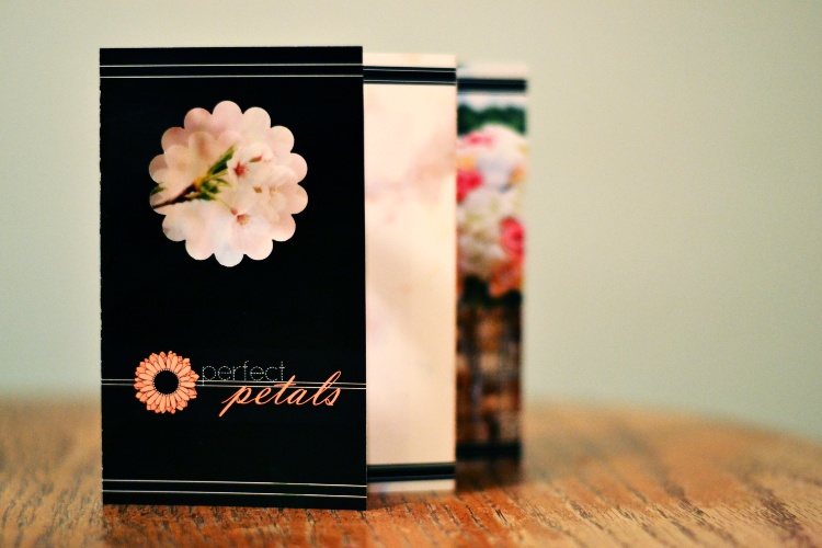 Photo of a brochure Julie made for a class assignment