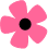 Logo for Jaxyn Ross