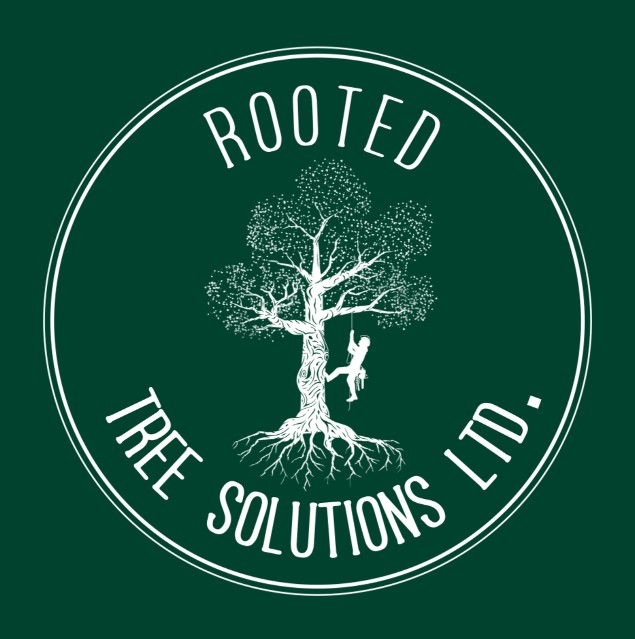 Spackalicious Designs Gallery Image, Links to information about the Rooted Tree Solutions website