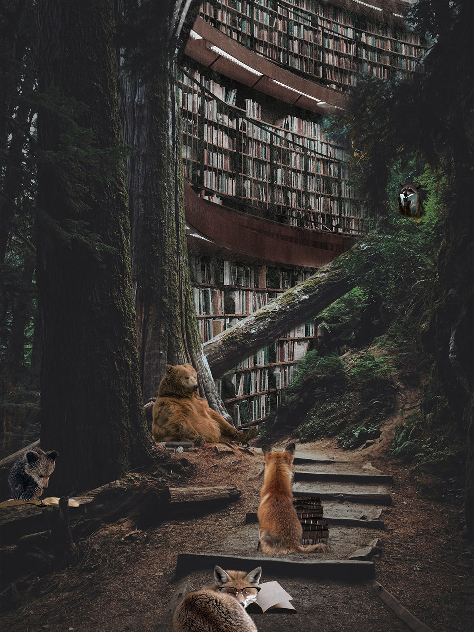Julie's Photoshop project, making a forest into a library for animals