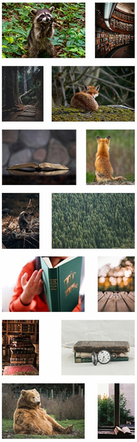 The original images Julie used for her Photoshop assignment