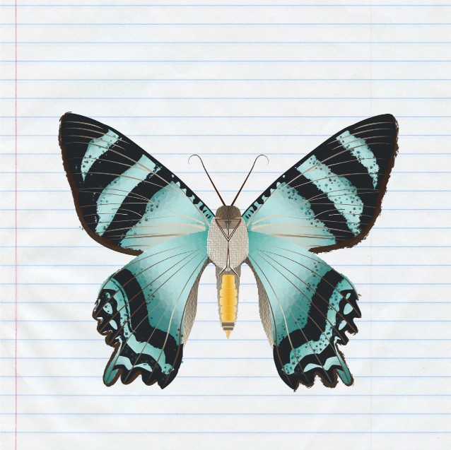 Spackalicious Designs Gallery Image, Links to information about an Illustrator project for a class