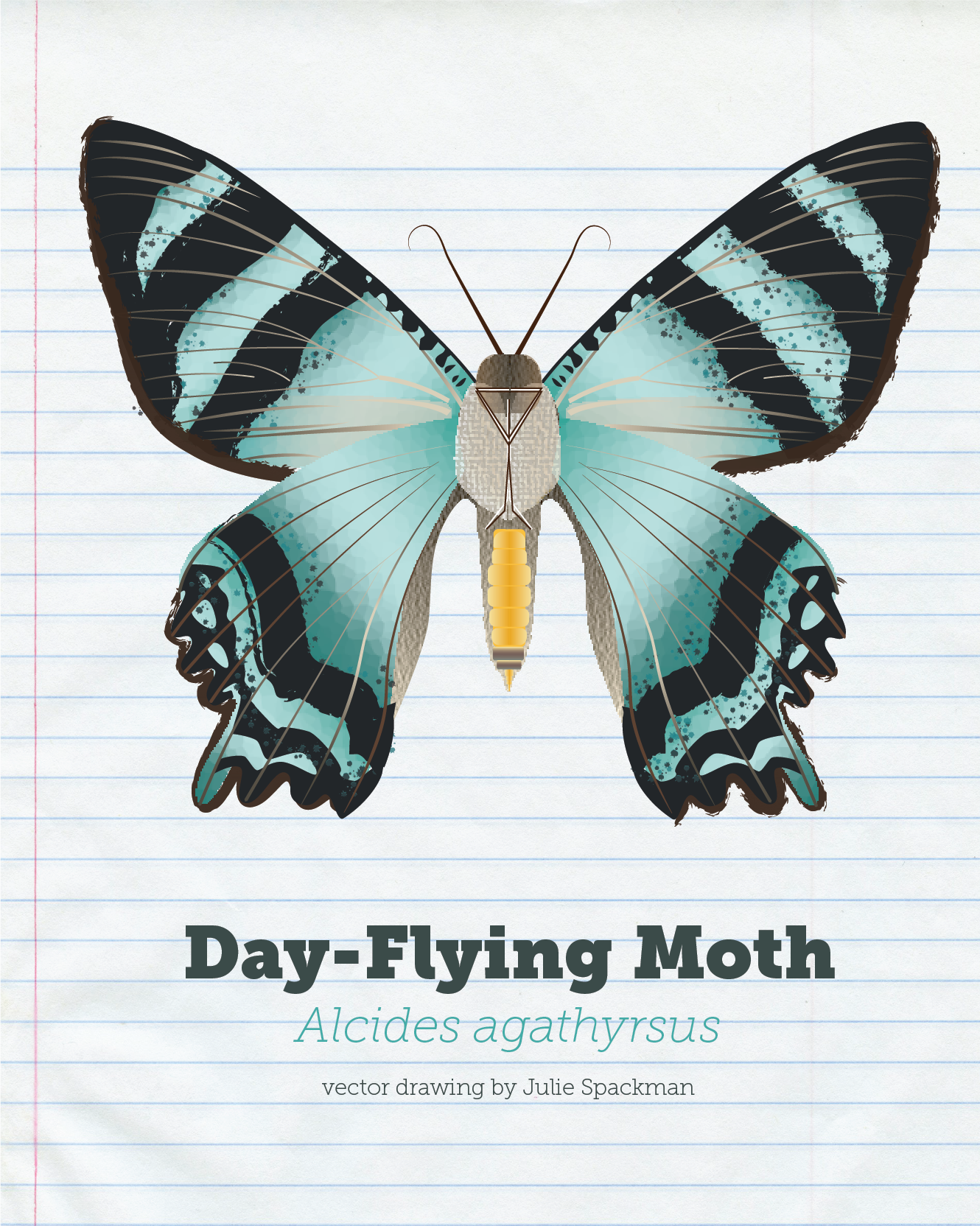 Julie's digital illustration of a moth